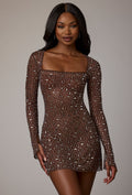 Sheer DressNovel Long Sleeve A-Line Mini Dress in Deep Cocoa